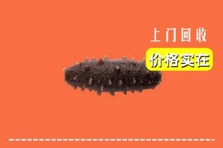 延边图们市回收海参